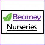 Grown in the UK Bearney Nurseries