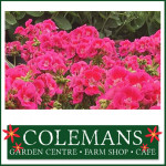 Grown in the UK Coleman's Garden Centre